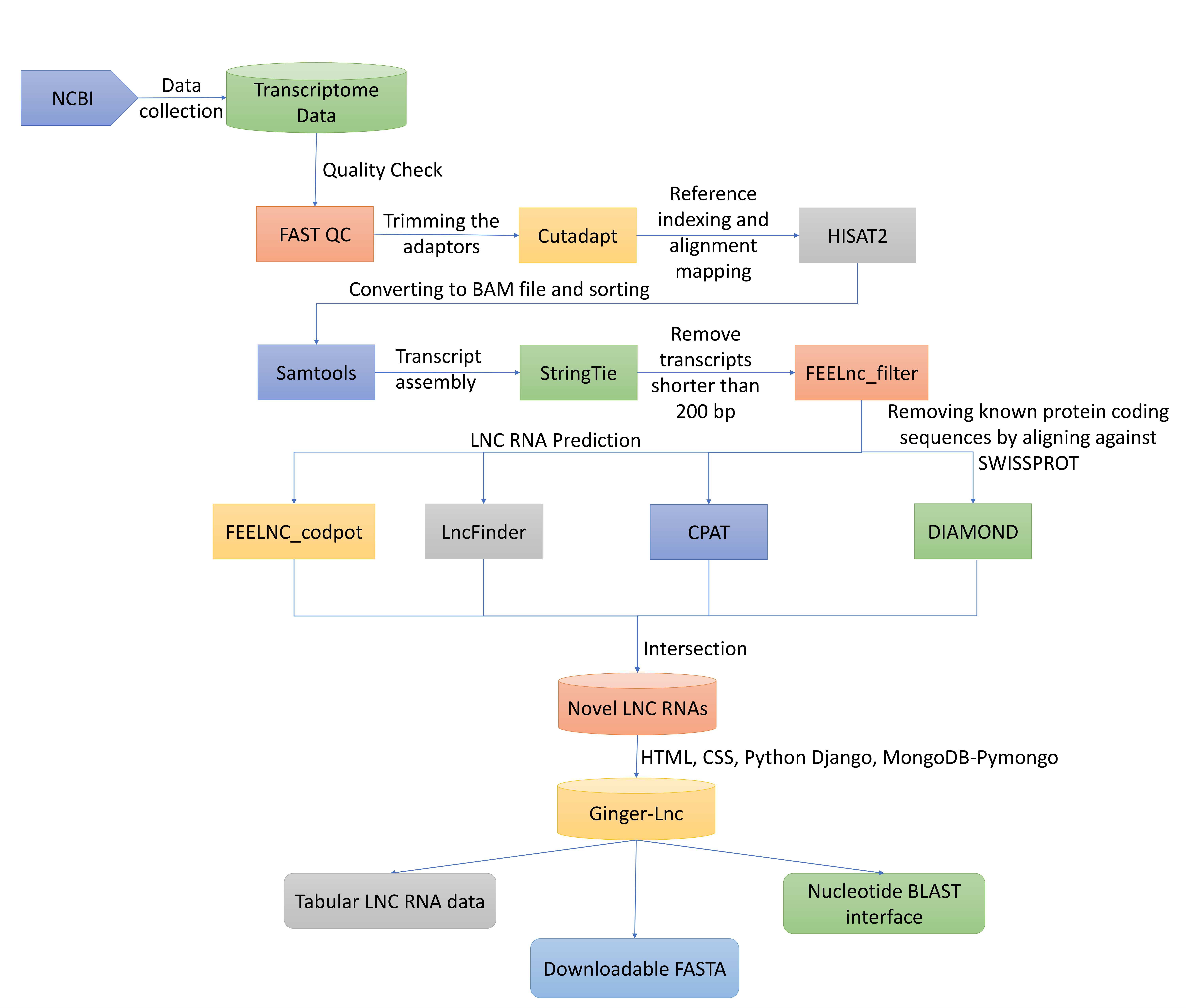 lncRNA Distribution per Tissue
